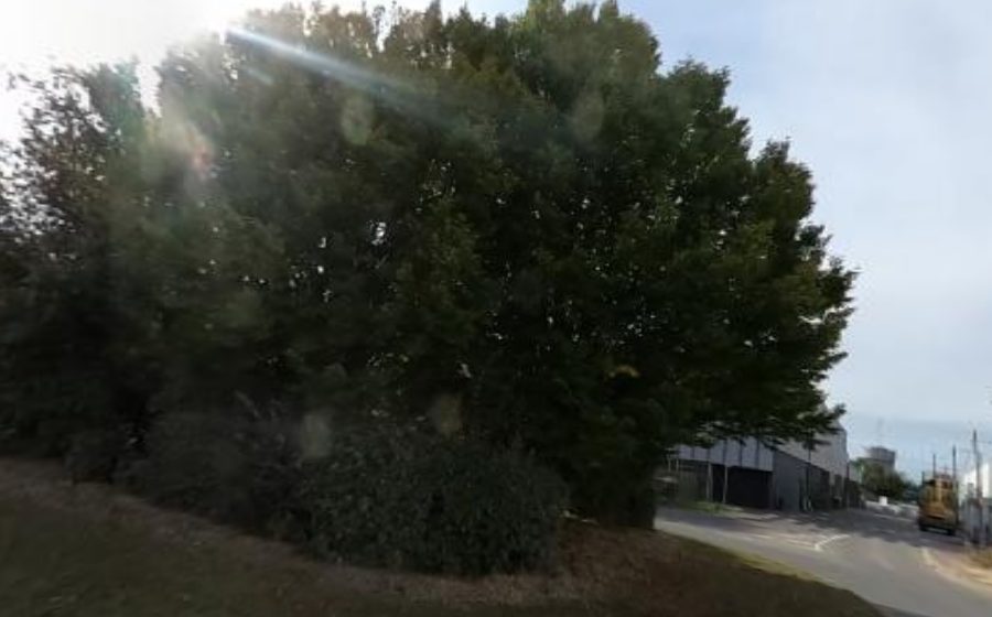 Vue du Rond-point anonyme n°91676062