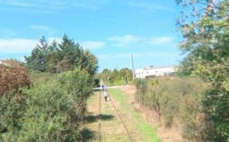 Vue du Rond-point anonyme n°93363594