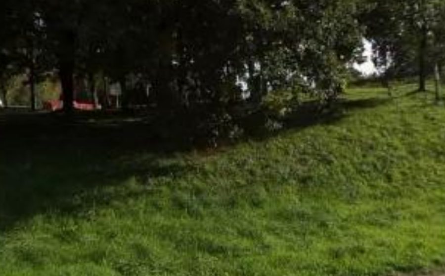 Vue du Rond-point anonyme n°94739652