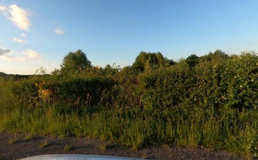 Vue du Rond-point anonyme n°99512044